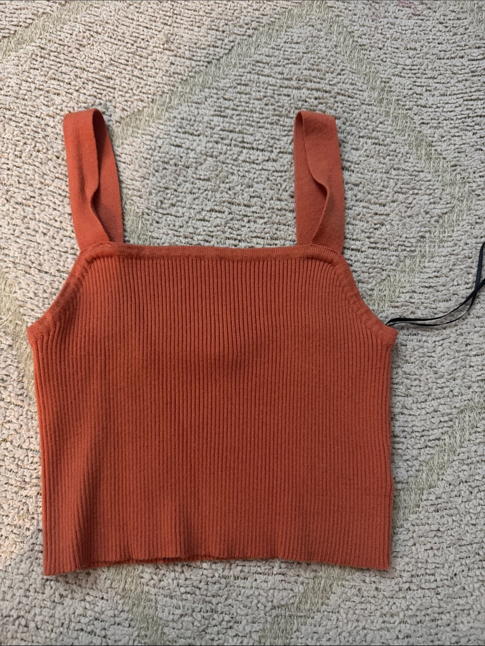 Double Zero Ribbed Rust Cropped Tank